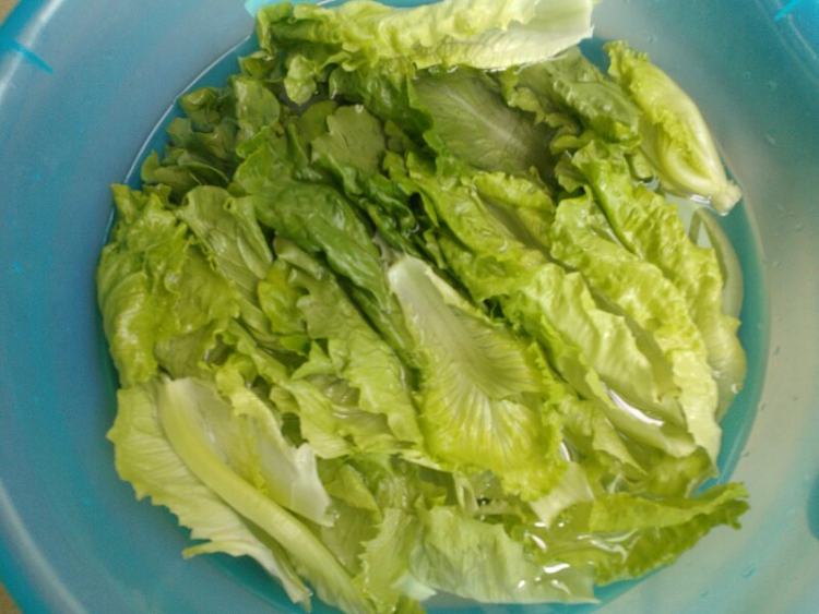 高汤生菜步骤2