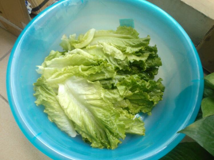 黄豆酱生菜步骤2