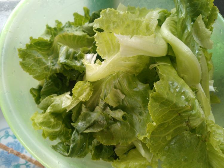 盐炒生菜步骤2