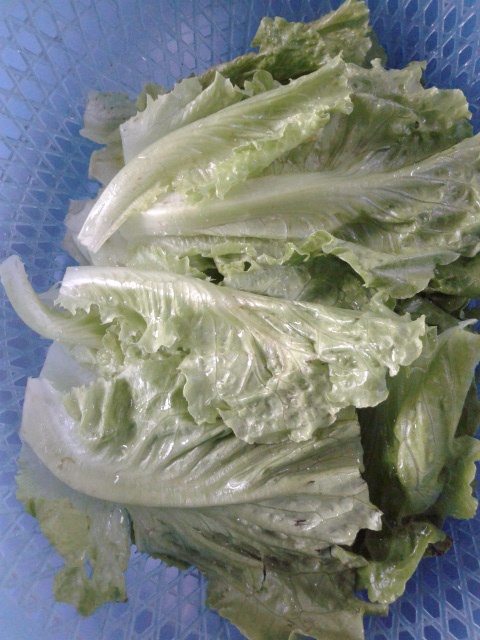 蒜姜蚝油生菜步骤1