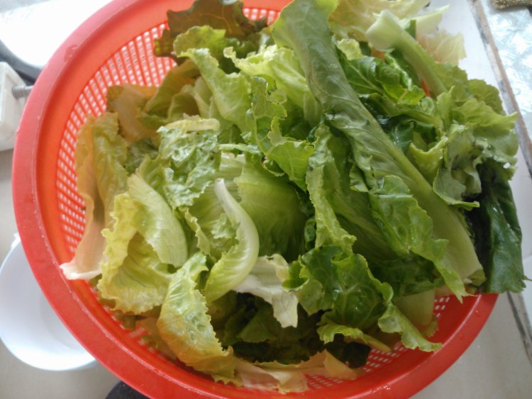 葱香生菜步骤2