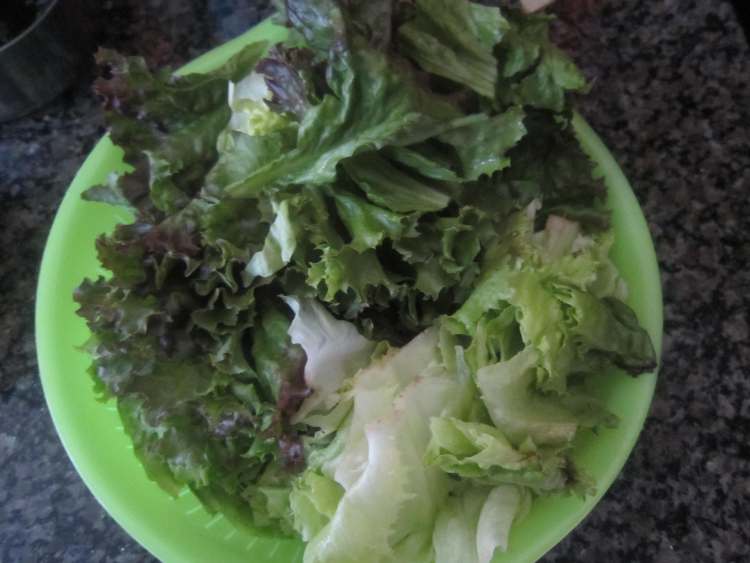 木耳炒生菜步骤1