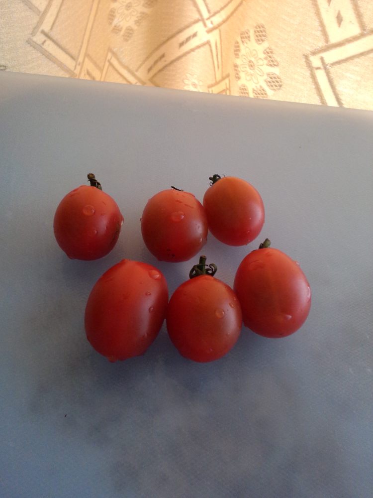 番茄红薯粉步骤1