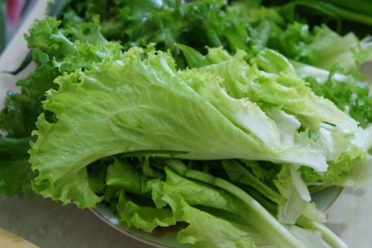 蔬菜豆腐卷步骤6