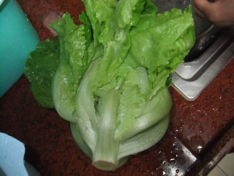豆鼓生菜步骤1