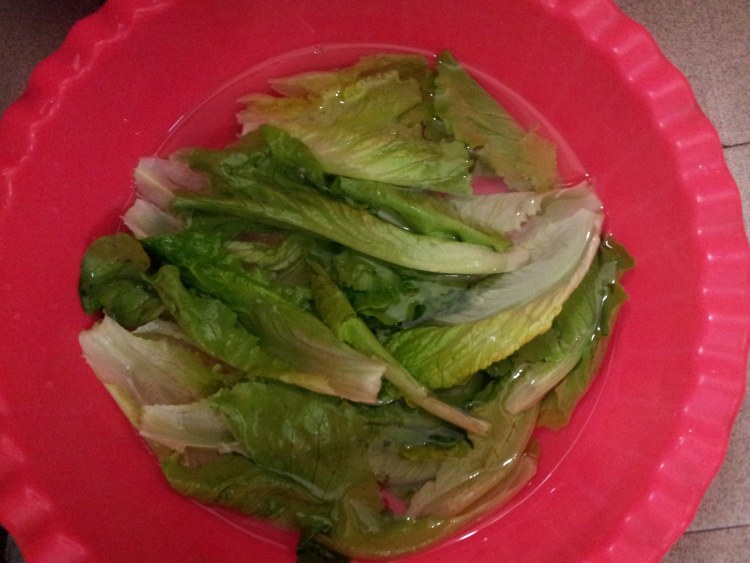 瘦肉蔬菜粥步骤5