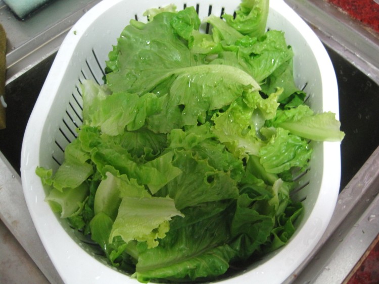 肉片生菜步骤1