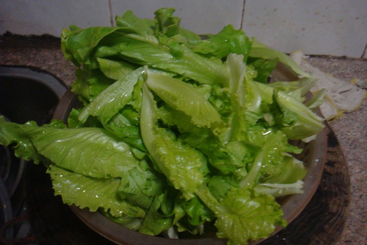 蒜茸炒生菜步骤2