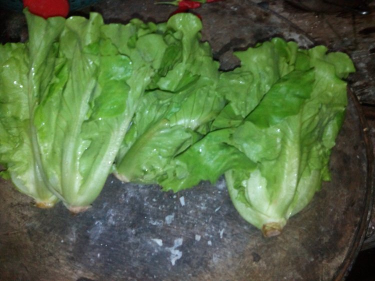 生菜炒肉片步骤1