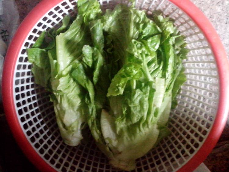 冬菇生菜步骤2
