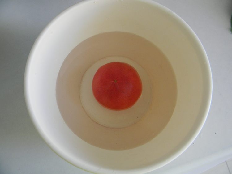 番茄调木耳步骤5