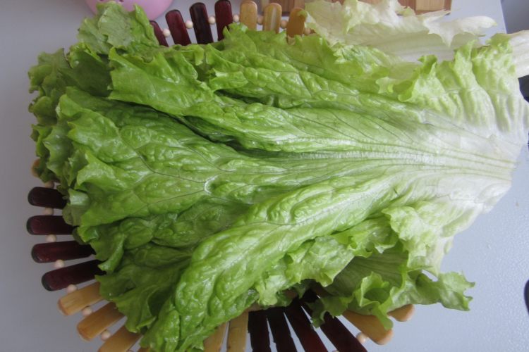 木耳扒生菜步骤1