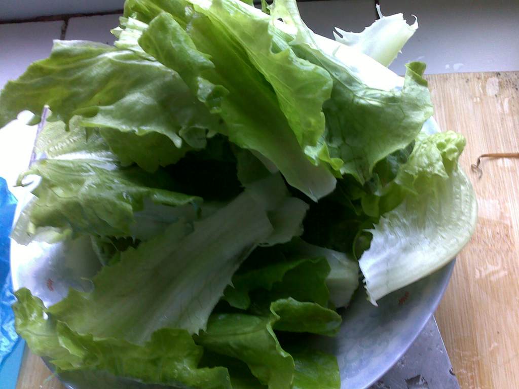 番茄生菜步骤1