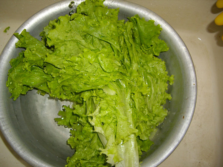 酱拌手撕菜步骤1