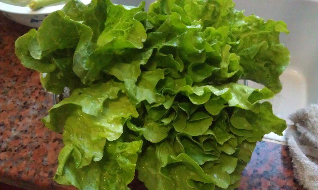 牛肉扒生菜步骤2