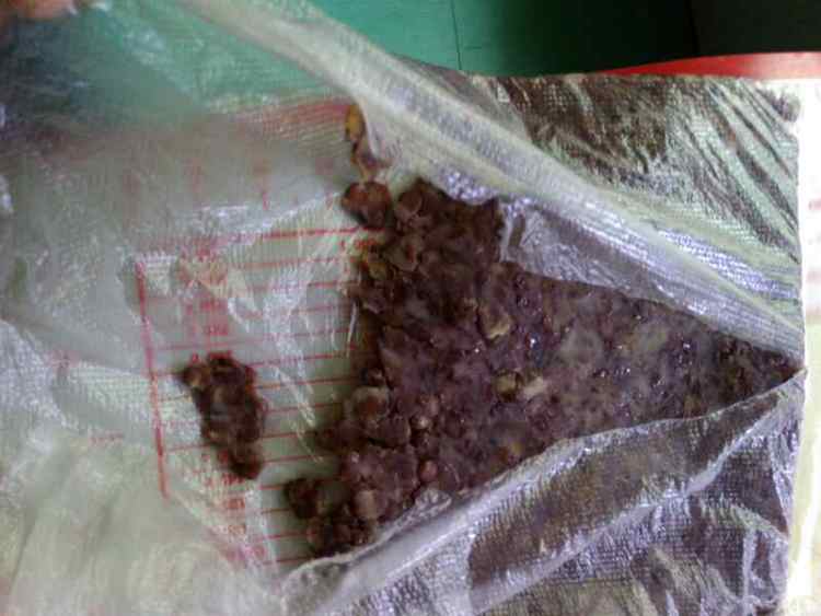 山药蜜红豆卷步骤10