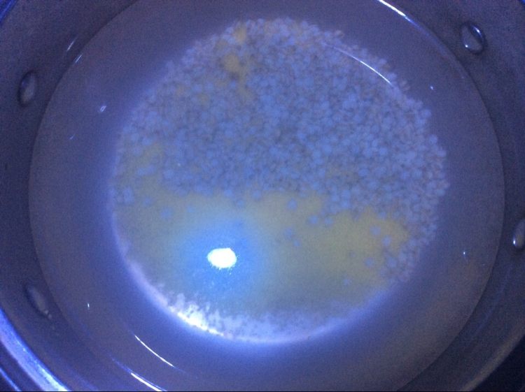 红枣山药薏米粥步骤4