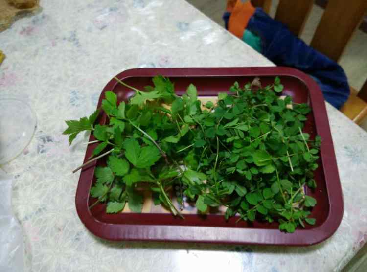 紫云英西红柿香菇丸子步骤1