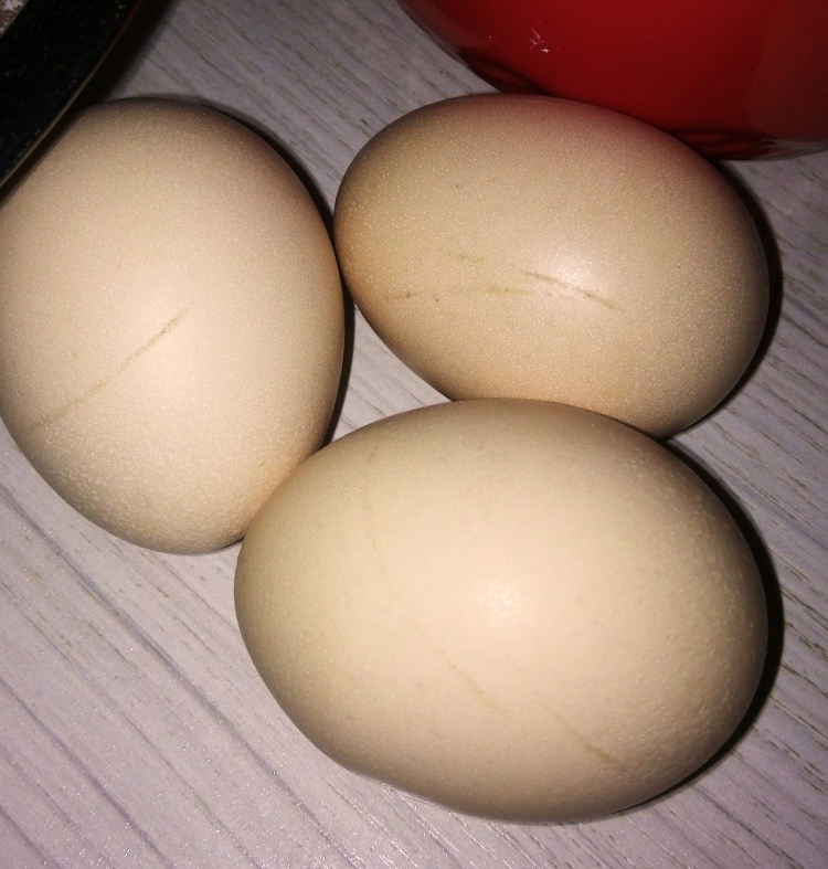 肉圆子火锅步骤1