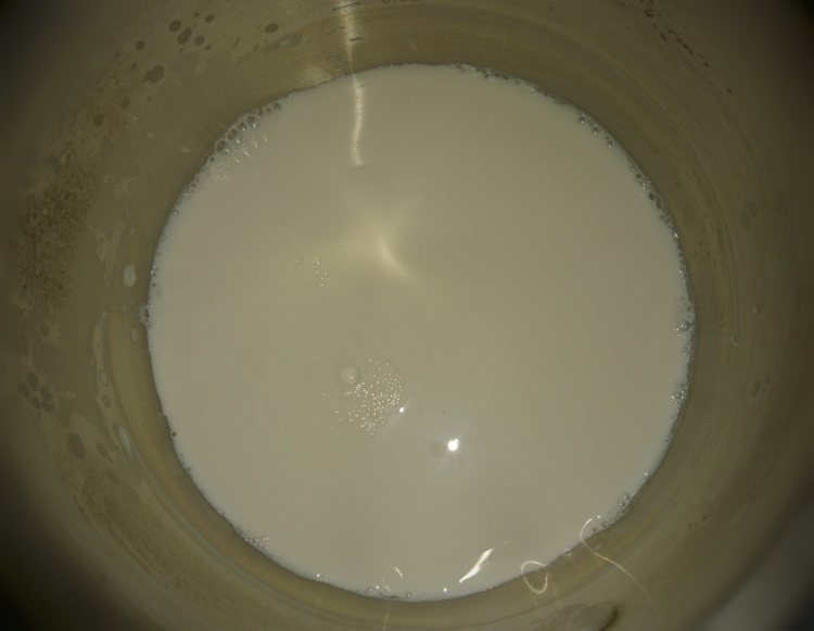 营养双果饮步骤3