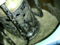 苹果黑豆浆步骤11