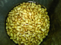 芝麻苹果豆浆步骤4