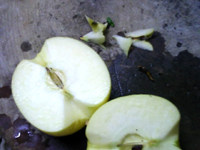 胡萝卜苹果蜜奶饮步骤5