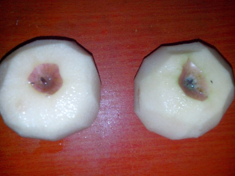 芝香拔丝苹果步骤1