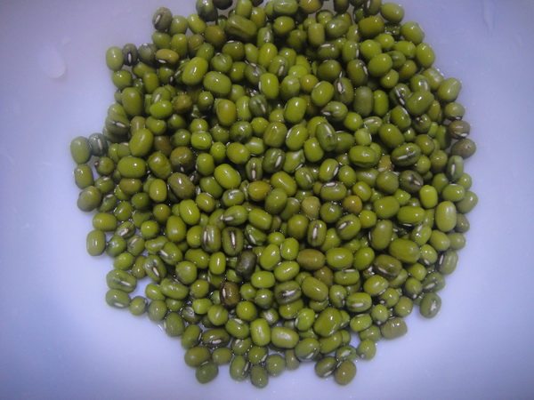 苹果绿豆沙步骤2