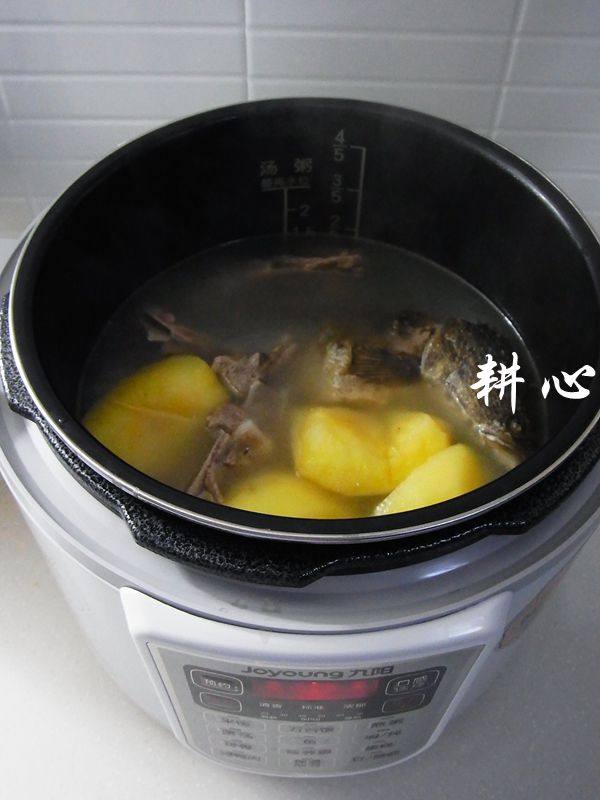 南北杏苹果生鱼汤步骤11