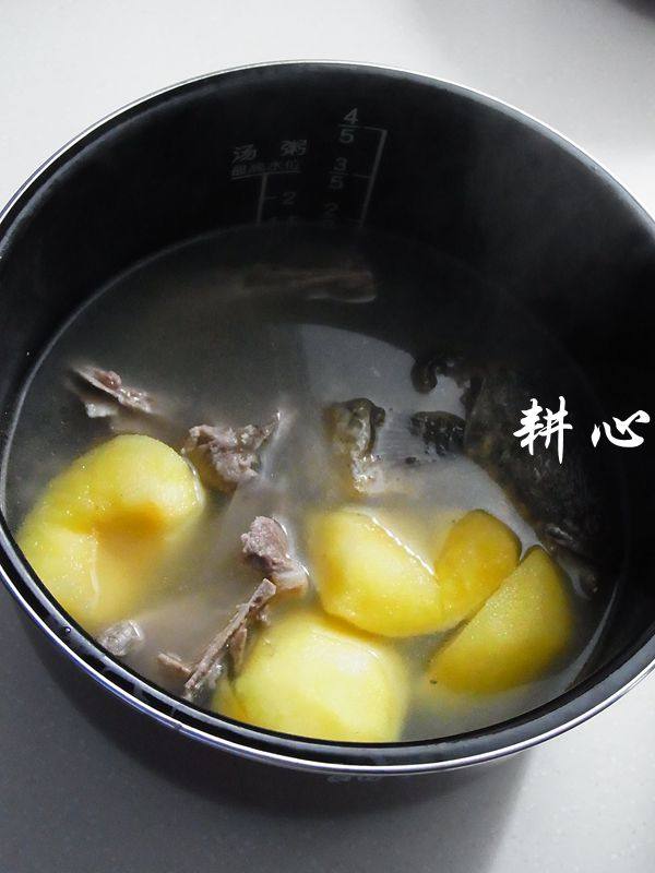 南北杏苹果生鱼汤步骤9