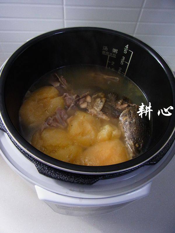 南北杏苹果生鱼汤步骤18