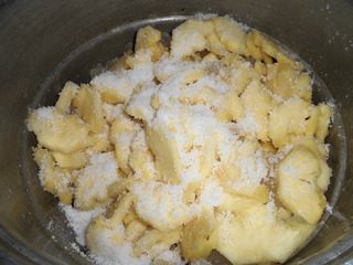 菠萝果脯步骤3