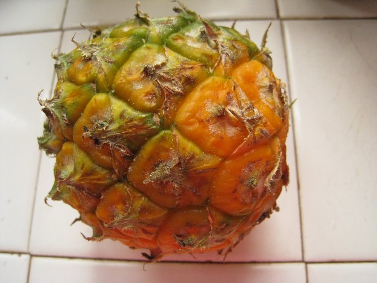 菠萝炒西葫芦步骤1