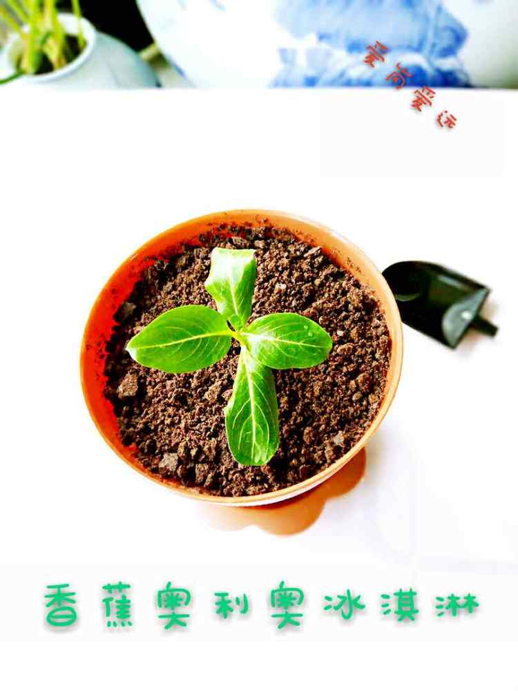 奥利奥香蕉冰淇淋步骤6