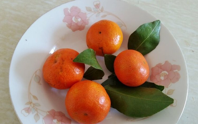 香蕉橘子奶昔步骤3