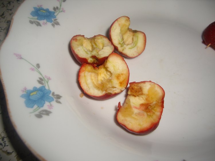 什锦果味糖葫芦步骤1