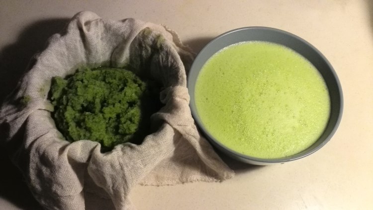 鲜榨蜂蜜柠檬苦瓜芹菜步骤12