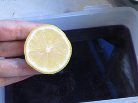 胭脂柠檬藕步骤5