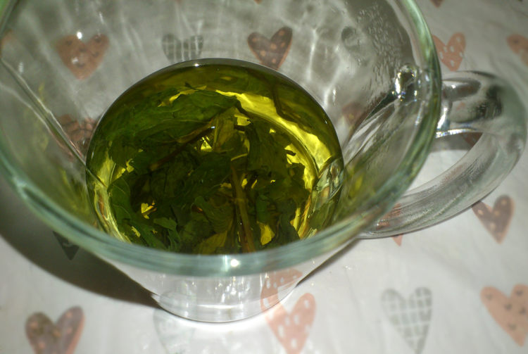 柠檬青瓜薄荷汁步骤2