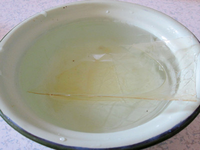 木瓜椰浆冻步骤2