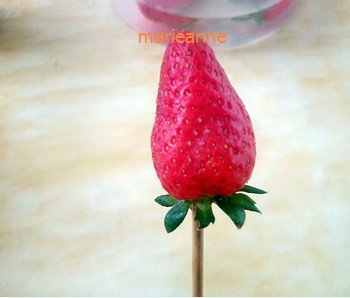 草莓玫瑰花步骤2