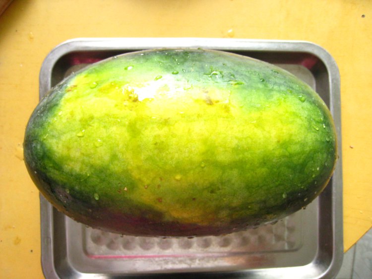 夏日圣诞树步骤1