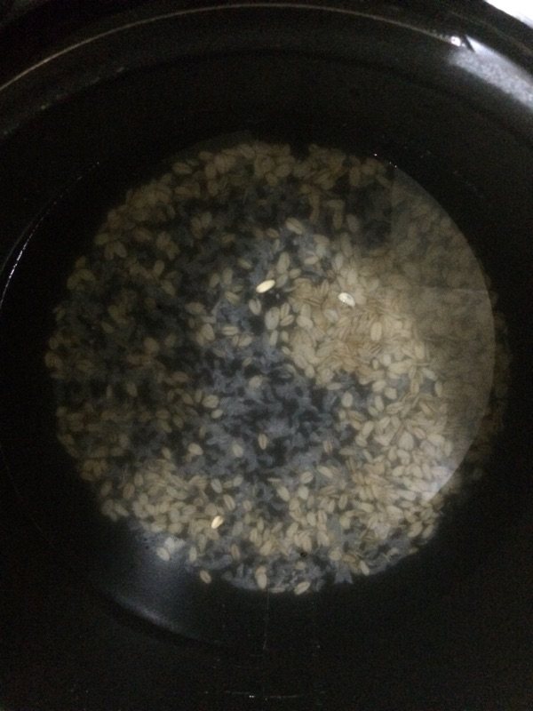 黑米燕麦粥步骤3