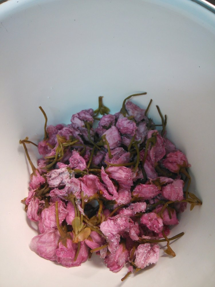 樱花饭团步骤1