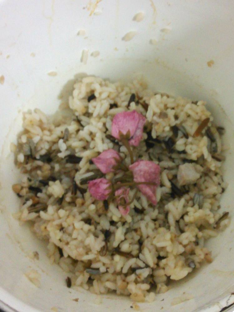 樱花饭团步骤4