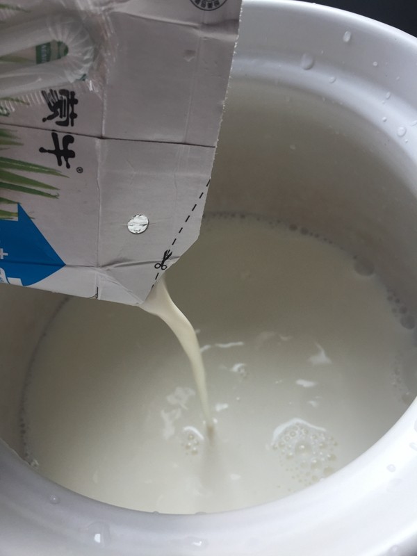 红枣牛奶粥步骤4