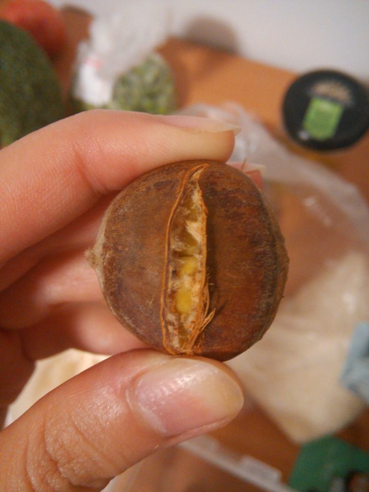 杂菜焖饭步骤3