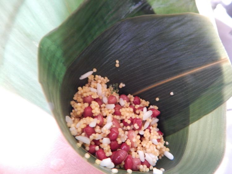 红豆小米蜜枣粽子步骤5