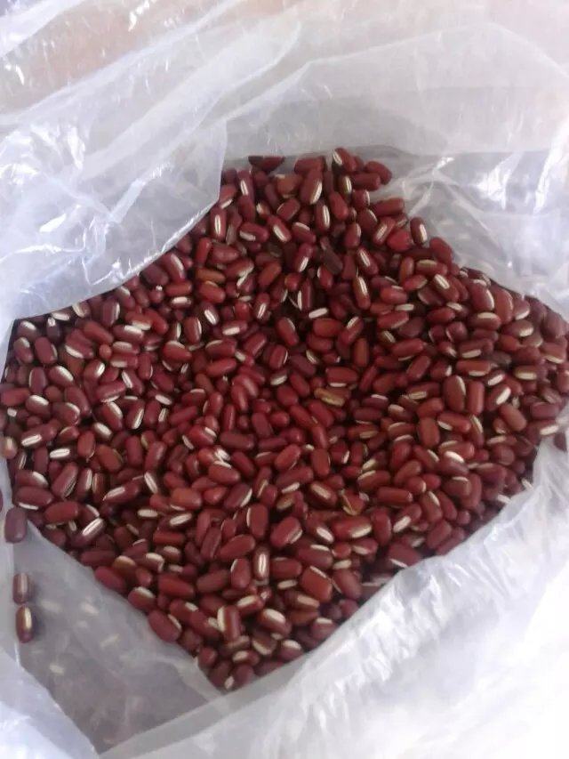 红豆蜜枣粽子步骤2